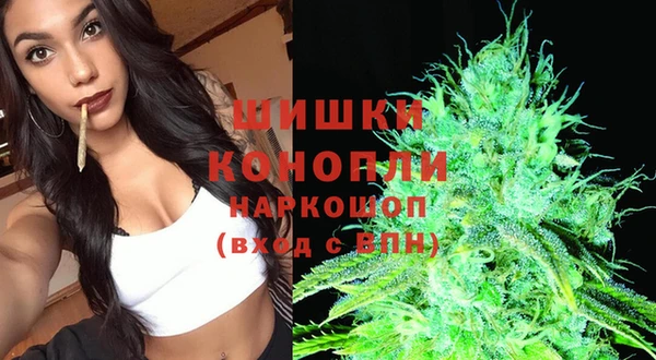 ГАЛЛЮЦИНОГЕННЫЕ ГРИБЫ Алексин