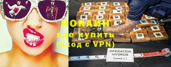 ГАЛЛЮЦИНОГЕННЫЕ ГРИБЫ Алексин