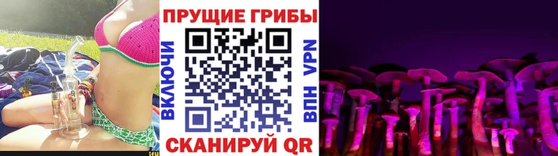 Псилоцибиновые грибы GOLDEN TEACHER Октябрьск